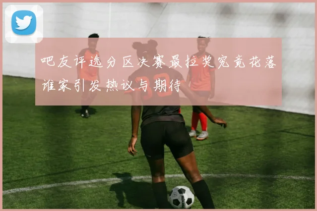 吧友评选分区决赛最拉奖究竟花落谁家引发热议与期待