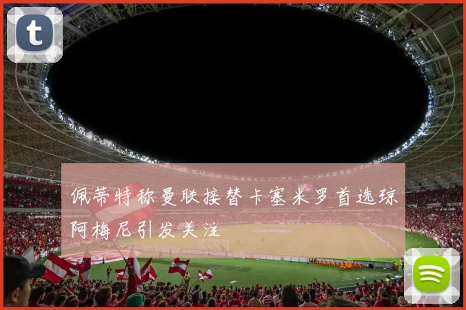 佩蒂特称曼联接替卡塞米罗首选琼阿梅尼引发关注